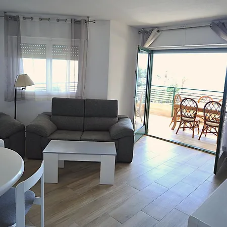 Palm Ii Orange Costa 베니카씸